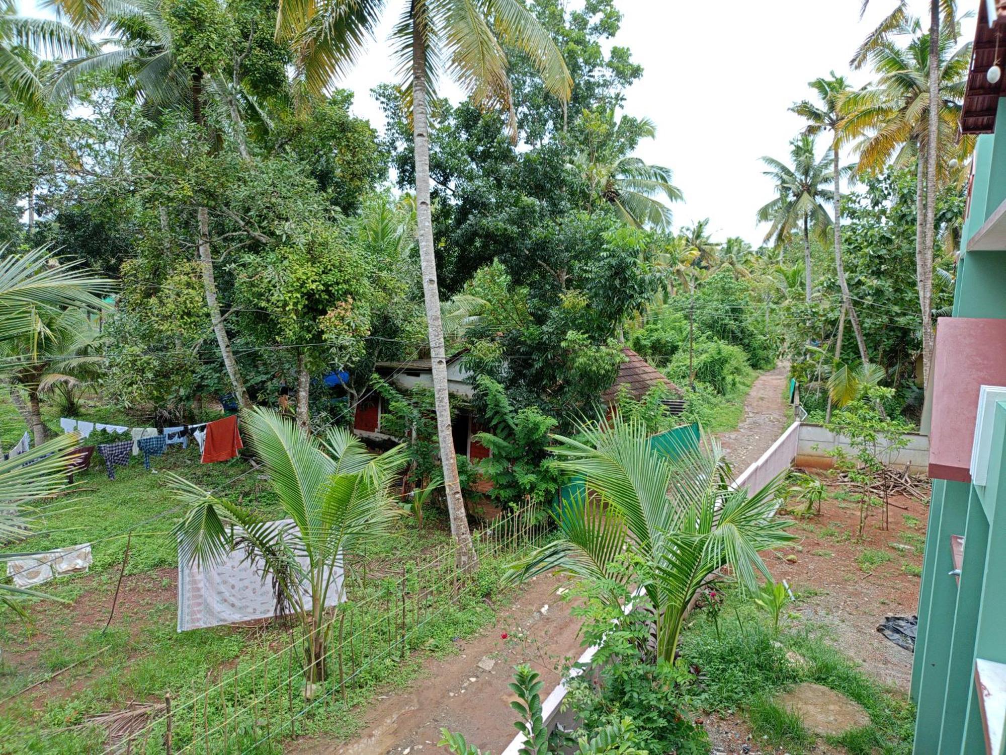 Munroe Coconut *