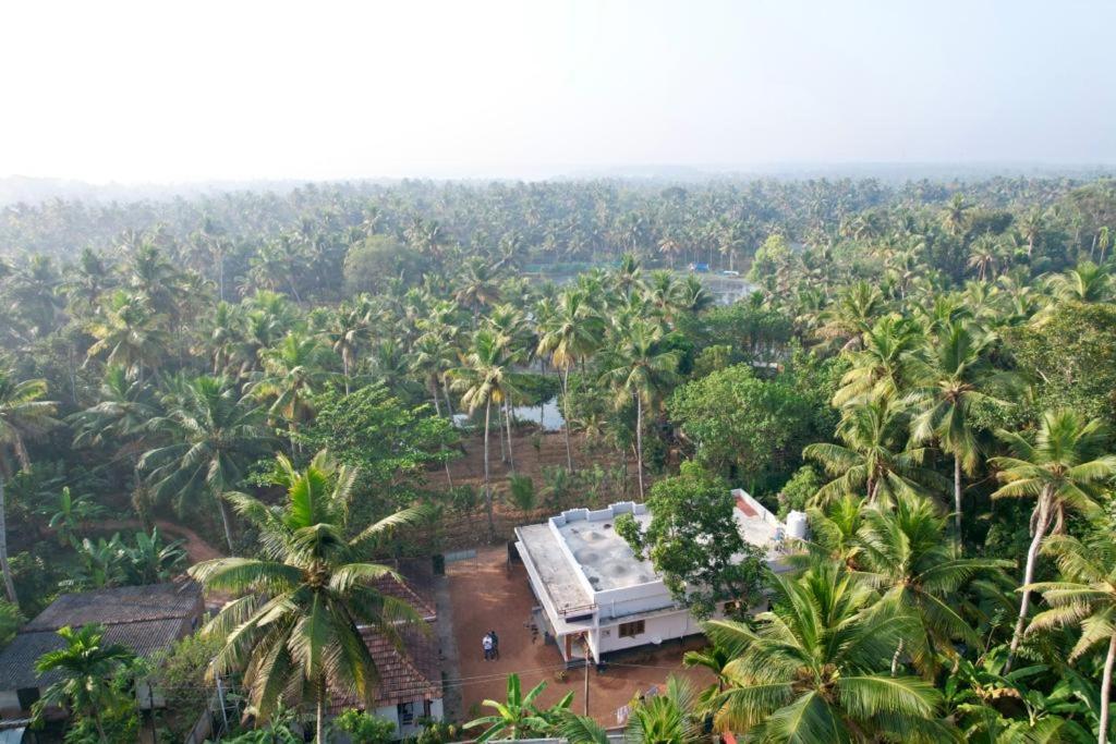 Munroe Coconut Homestay
