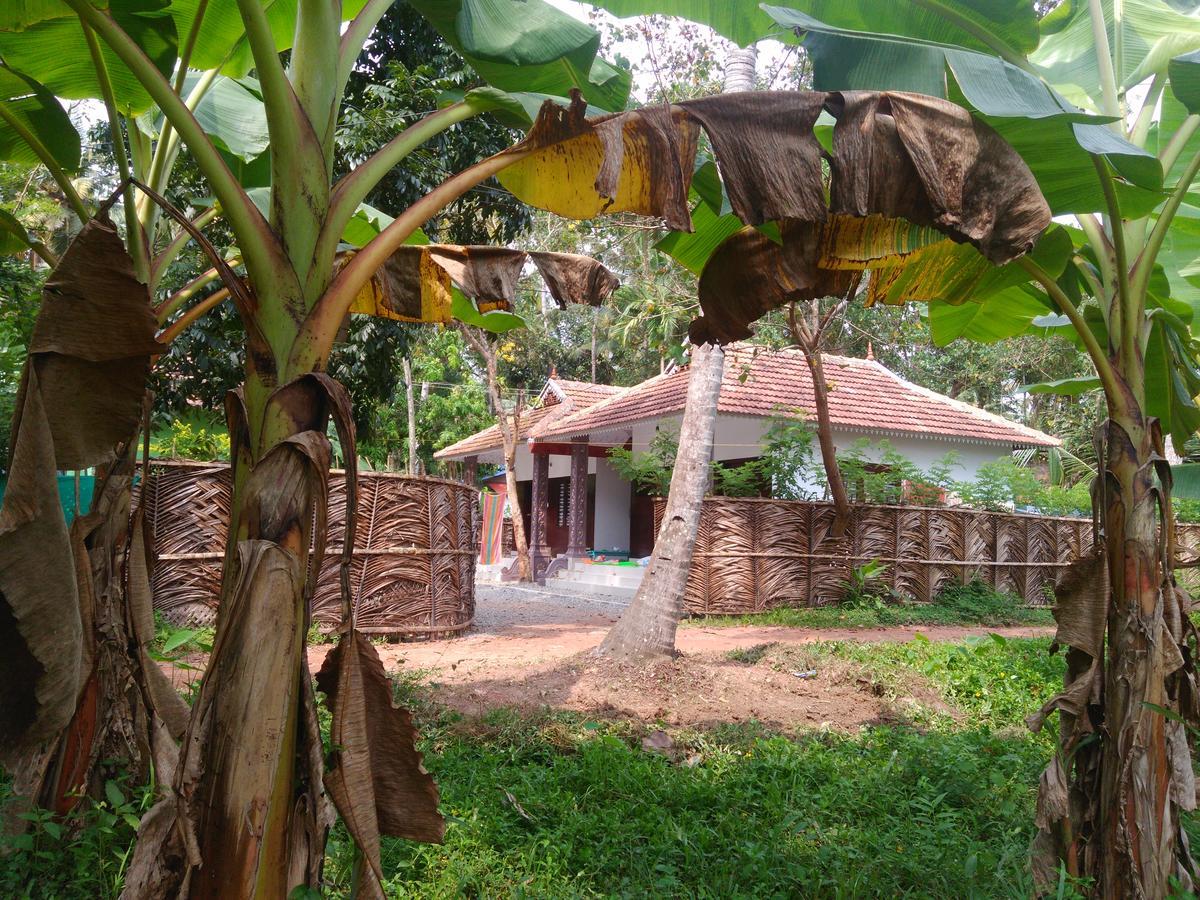 Munroe Coconut *