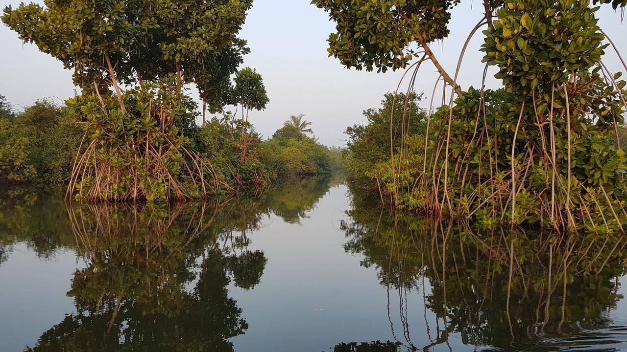 Homestay Munroe Coconut