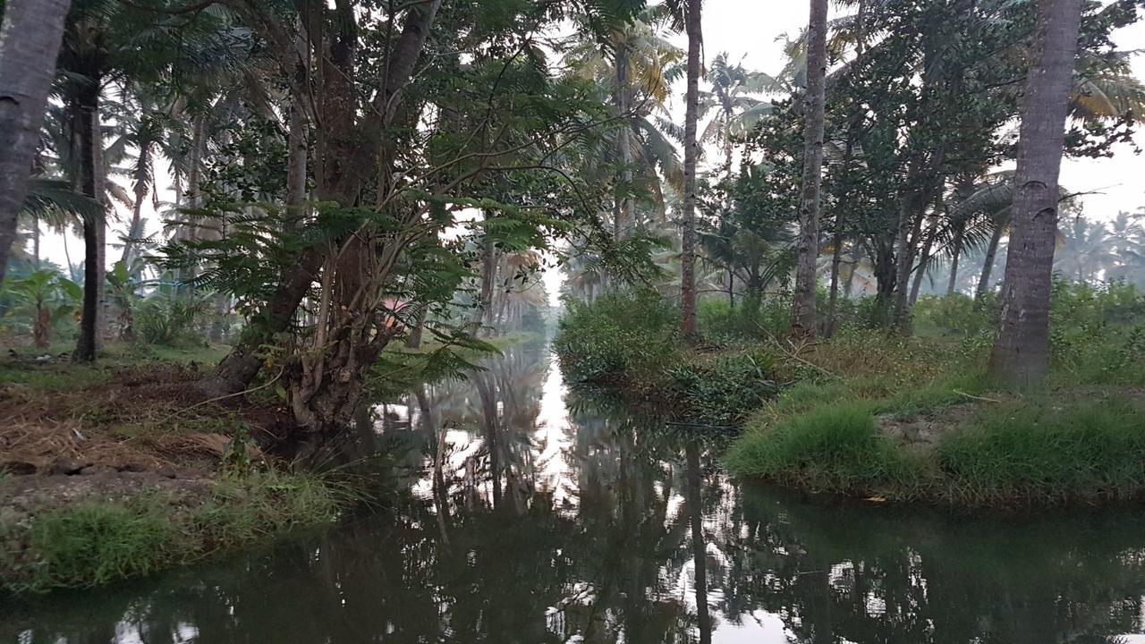 Homestay Munroe Coconut *