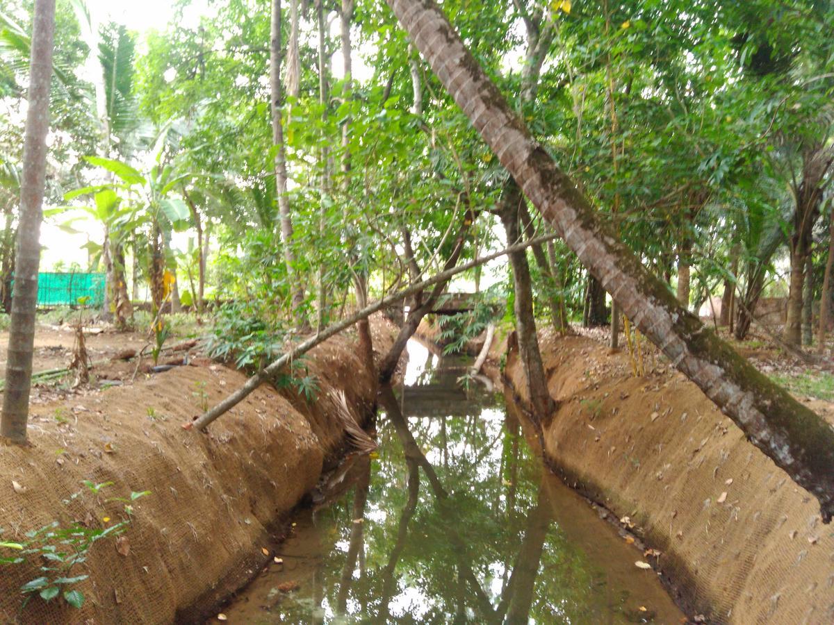 Homestay Munroe Coconut