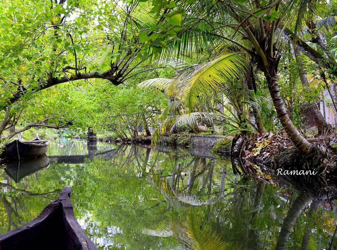 Homestay Munroe Coconut *