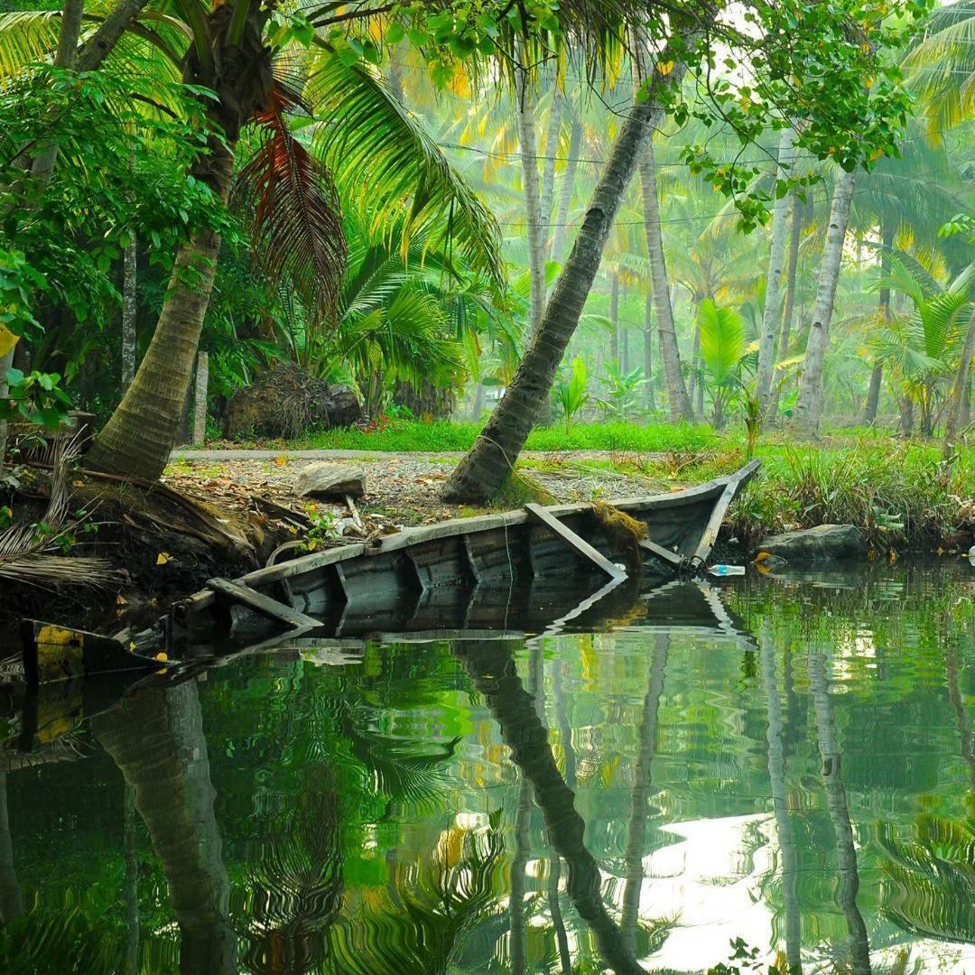 Homestay Munroe Coconut Mundrothuruth