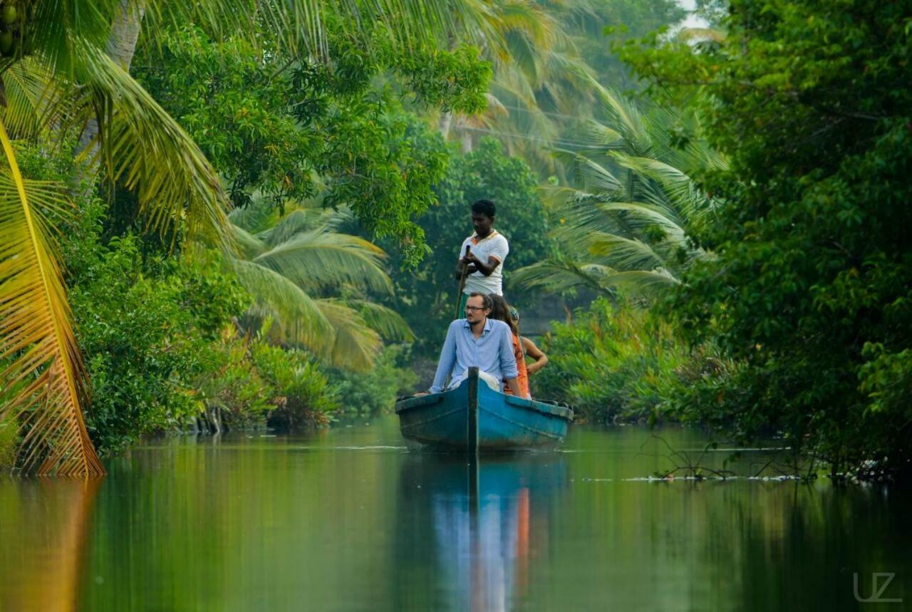 Homestay Munroe Coconut *
