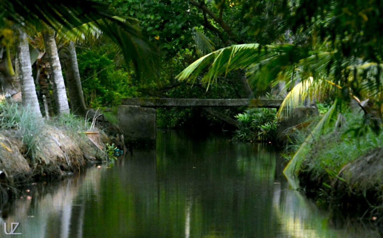 Munroe Coconut Homestay